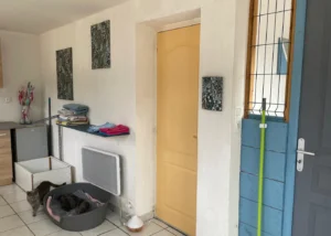 infirmerie équipement chats